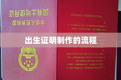 琼中出生证明制作的流程