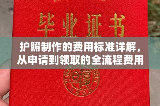 琼中护照制作的费用标准详解，从申请到领取的全流程费用指南